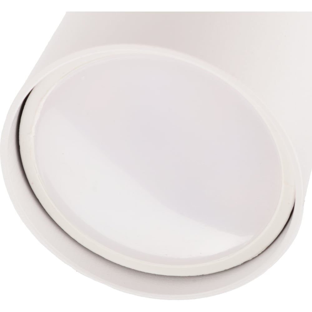 Изображение товара Поворотный накладной светильник Ritter Arton цилиндр 2хGU10 алюминий белый