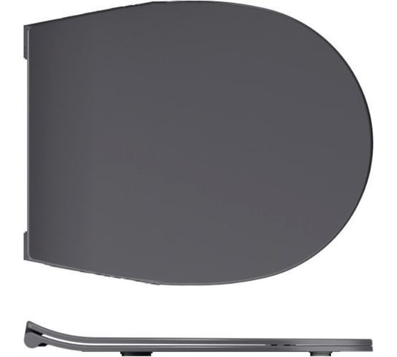 Изображение товара Крышка-сиденье для унитаза ALLEN BRAU Reality 4.32007.AN 00280169