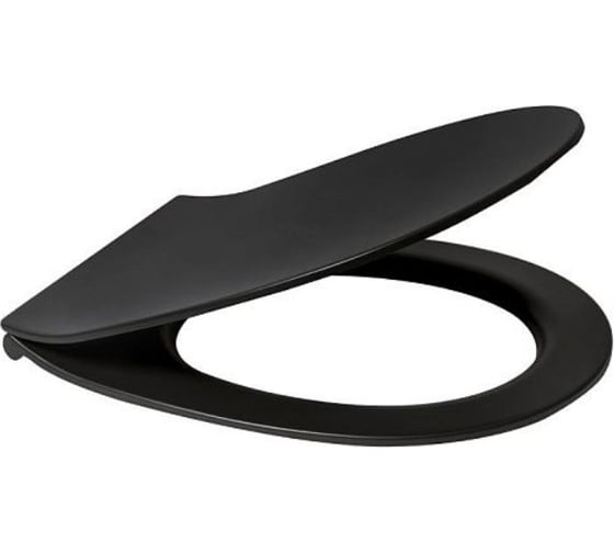 Изображение товара Крышка-сиденье для унитаза ALLEN BRAU Reality 4.32007.31 00280167