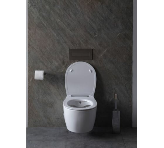 Изображение товара Подвесной унитаз ALLEN BRAU Fantasy 4.11HC1.20 00287728