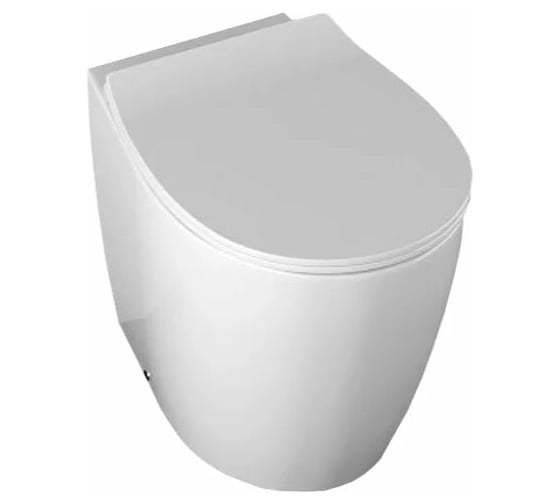 Изображение товара Чаша приставного унитаза ALLEN BRAU Fantasy 4.11007.20 00269470