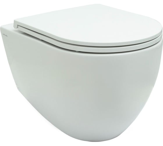 Изображение товара Чаша подвесного унитаза ALLEN BRAU Reality 4.32006.20 00280193