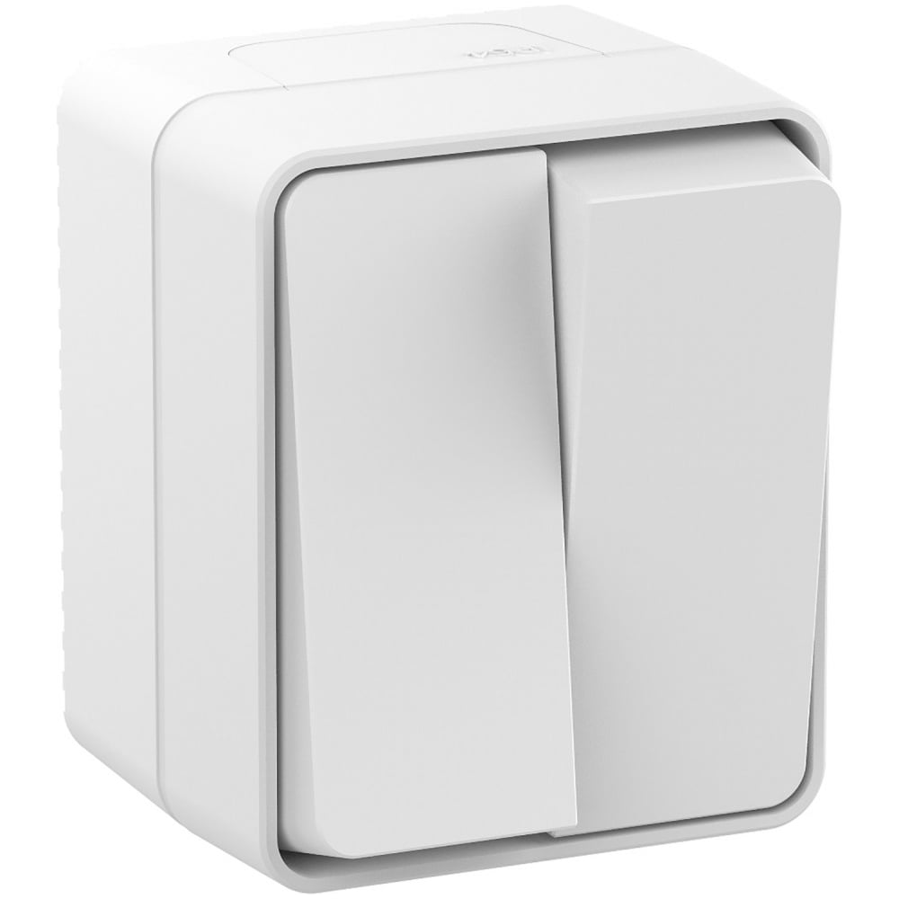 Изображение товара Выключатель 2-клавишный AtlasDesign Profi IP54, 10 АХ, открытой установки, Белый Systeme Electric ATN540151