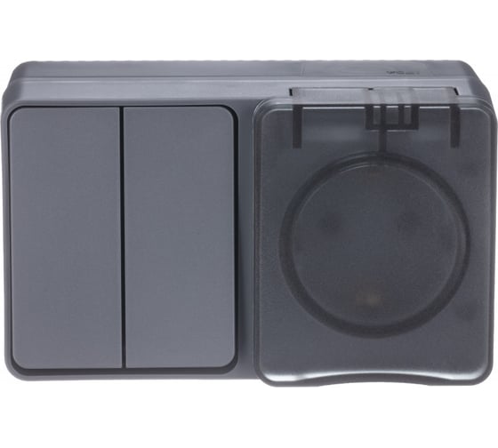 Изображение товара Блок: розетка с заземлением со шторками 16А 250B и 2-клавишный выключатель 10А Systeme Electric AtlasDesign PROFI IP54 открытой установки ATN544074