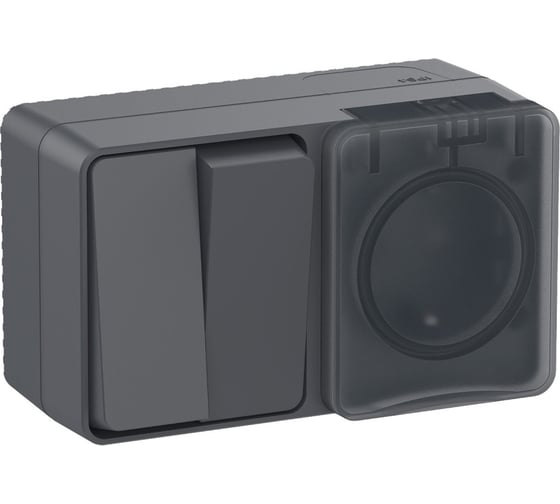 Изображение товара Блок: Розетка с заземлением со шторками, 16 АХ, 250 В, Выключатель 2-клавишный, 10 АХ, AtlasDesign Profi IP54, открытой установки, Антрацит Systeme Electric ATN544074