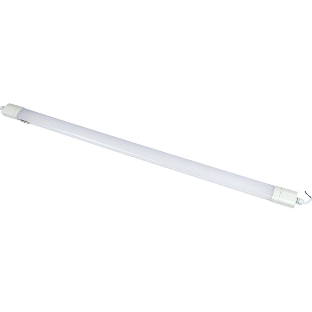 Пылевлагозащищенный светильник REXANT, цвет белый/белый 607-071 ССП4-60 - фото 1