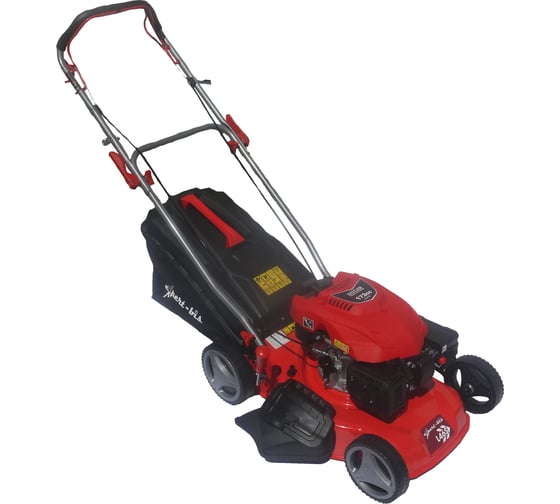 Изображение товара Самоходная бензиновая газонокосилка Expert-bis L46S 263206