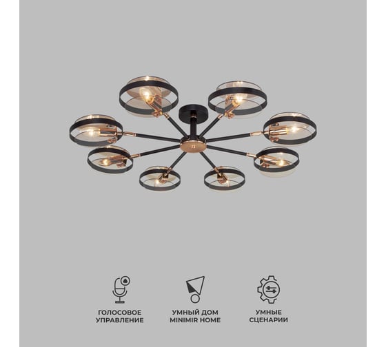 Изображение товара Потолочный светильник Eurosvet 70121 8 черный a052342