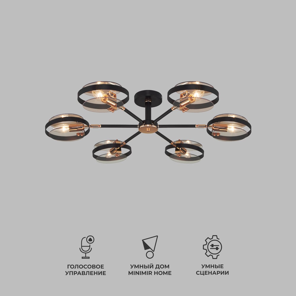 Изображение товара Потолочный светильник Eurosvet 70121 6 черный a052341 стиль лофт