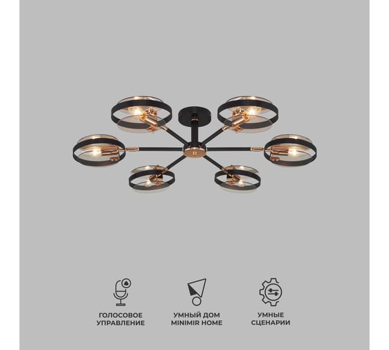 Изображение товара Потолочный светильник Eurosvet 70121 6 черный a052341