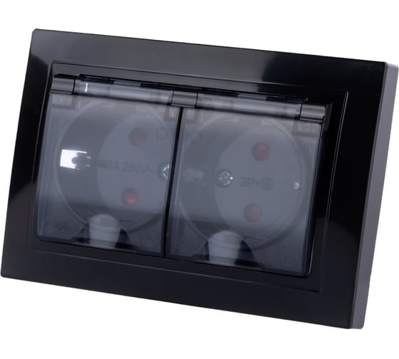 Изображение товара Двойная розетка TDM ELECTRIC 2П+З с защитными шторками и прозрачной крышкой 16А 250В IP44 антрацит Таймыр SQ1814-0877