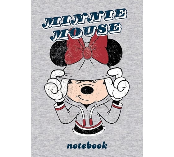 Изображение товара Бизнес-блокнот Hatber 64л, А6, клетка/линия, тв.переплет, глянц. ламин. 056009