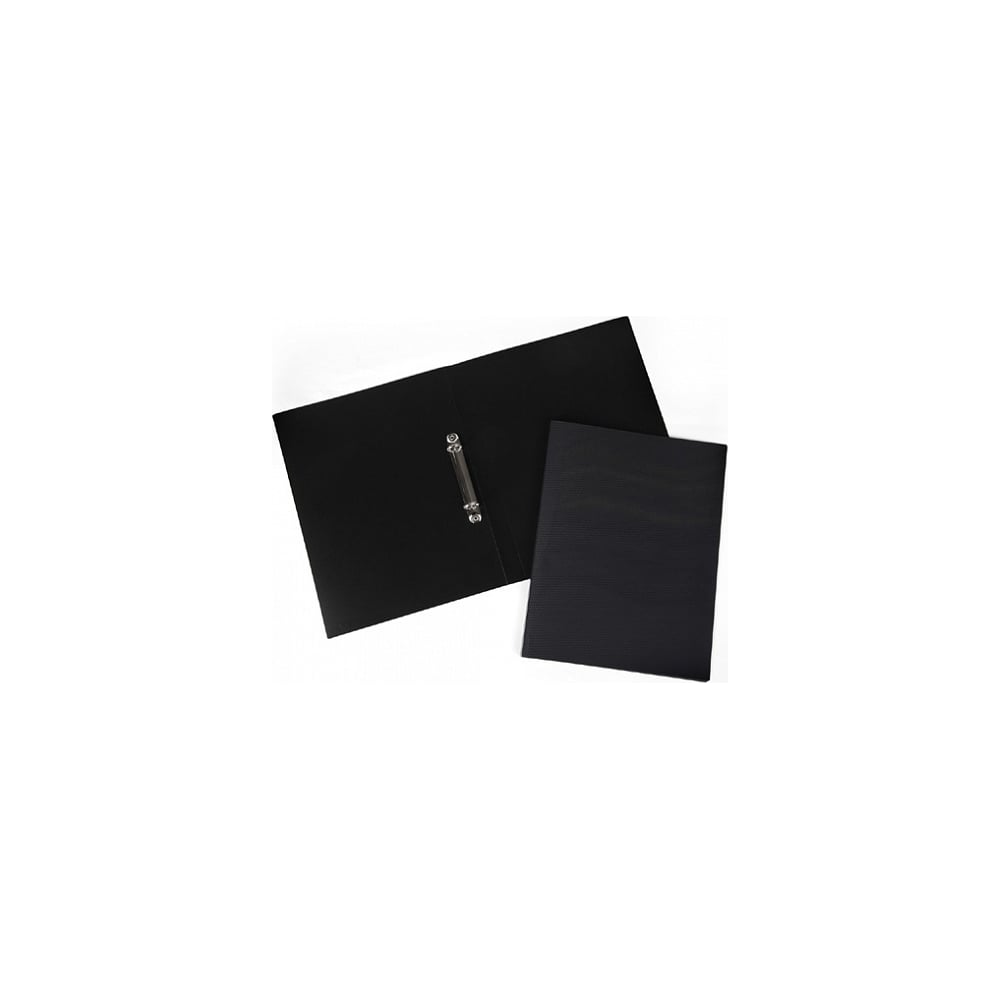 Пластиковая папка Hatber папка 20 вкладышей а4 сalligrata карман на корешке 600 мкм 15 мм черная
