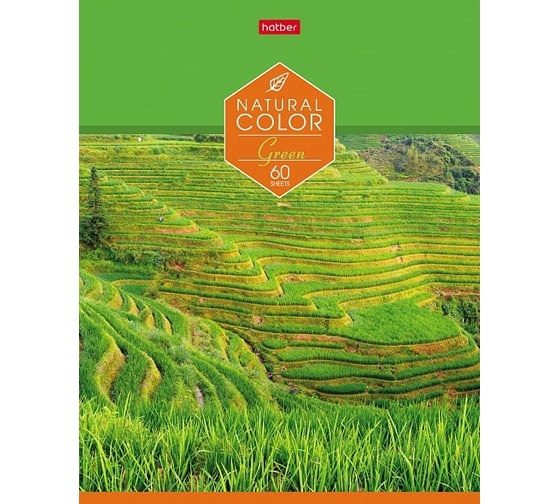 Изображение товара Тетрадь Hatber Colour 60л, А5, линия, на скобе 8 шт 62947