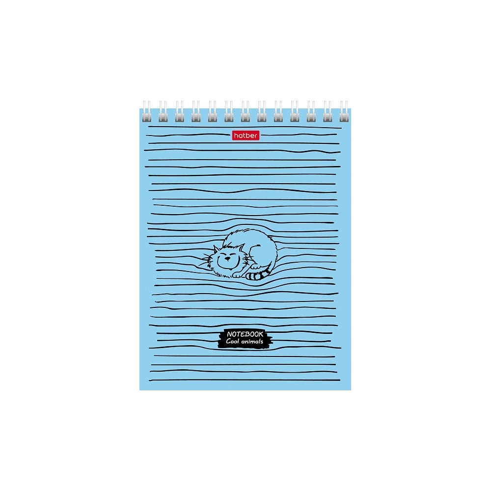 Блокнот Hatber читательский дневник 16 листов совёнок обложка мелованный картон