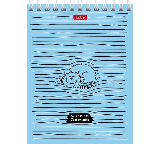 Изображение товара Блокнот Hatber 40л, А6, 65г/кв.м, клетка, обложка мелованный картон, УФ-лак 6 шт 055480