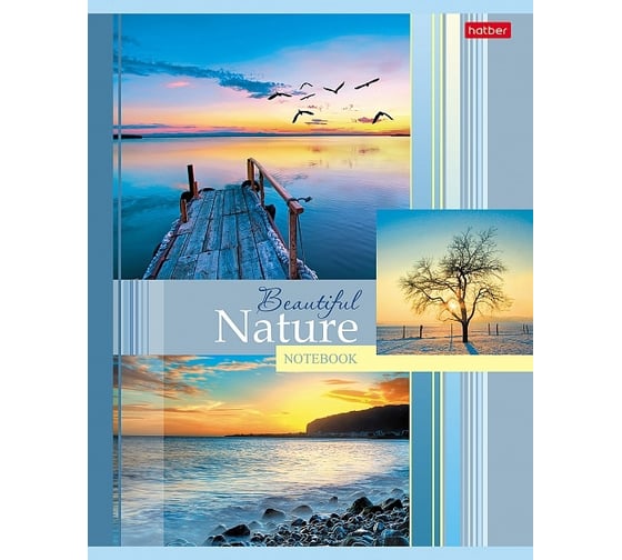 Изображение товара Тетрадь Hatber 48л, А5, клетка, 65г/кв.м на скобе, 10 шт 47042