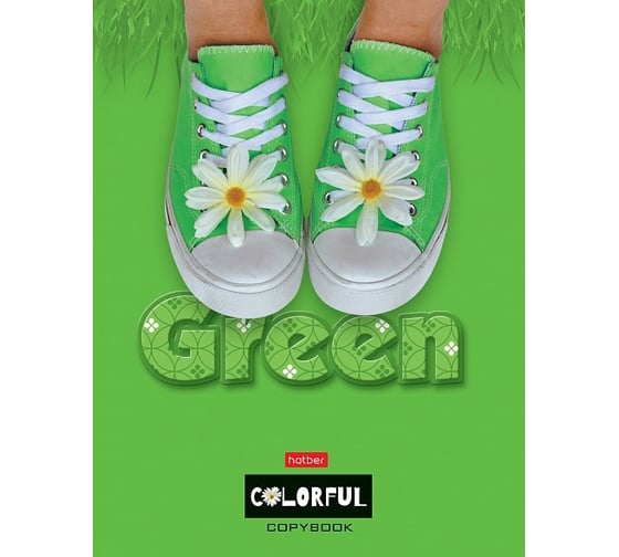 Изображение товара Тетрадь Hatber GREEN 120 л, А5, на 4-х кольцах, глянц. ламинация 10 шт 063284