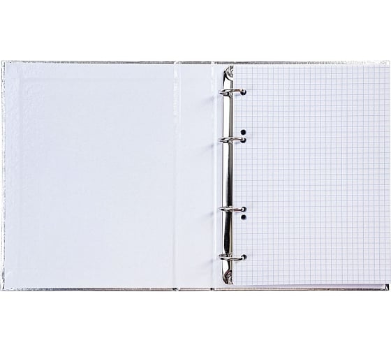 Изображение товара Тетрадь Hatber 120л, А5, на 4-х кольцах, обложка бумвинил, METALLIC, серебро 10 шт 070804