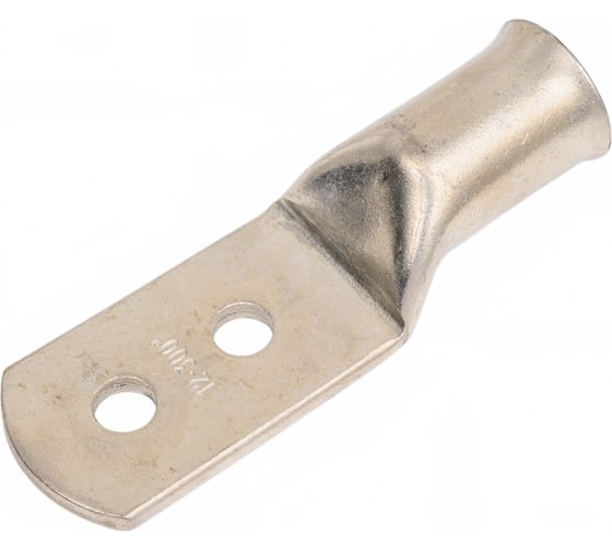 Изображение товара Наконечник DKC с двумя отверстиями, 300х30 кв.мм винт 2x12 мм 2Q12DH30