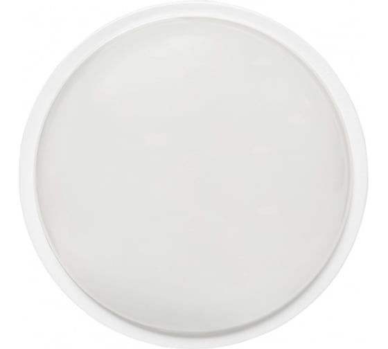 Изображение товара Светодиодный светильник EKF ЖКХ круг ДПО-2010 15Вт 6500K IP65 PROxima BKL-2010-R-15-6500