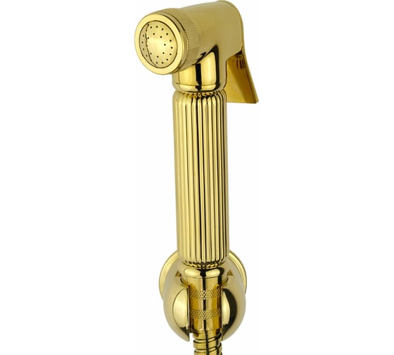 Изображение товара Гигиенический набор VERAGIO KIT металл/золото 30826