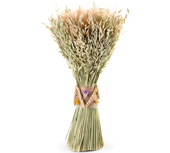 Изображение товара Коробка 6 букетов из сухих колосовых культур Стильный Дом овес, пшеница 480 мм 40842