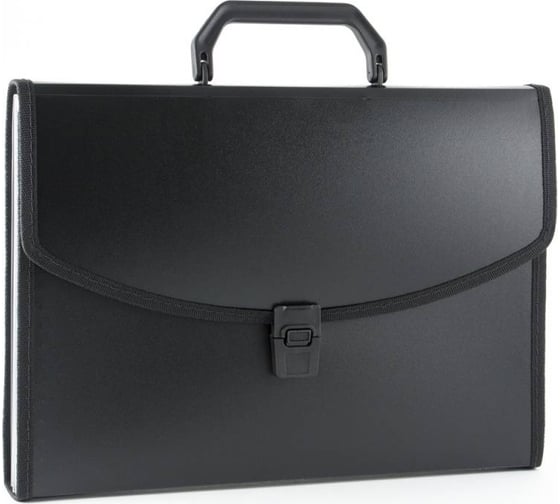 Изображение товара Портфель БЮРОКРАТ BPP13LBLCK 13 отделений, A4, с окантовкой, пластик 0.7 мм, черный, 14 шт 876051