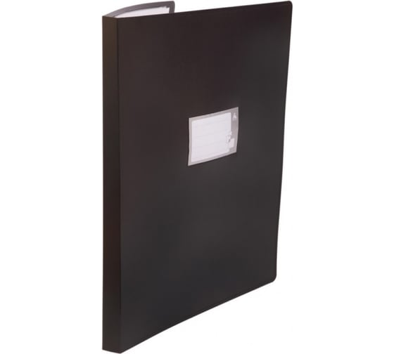 Изображение товара Папка БЮРОКРАТ с 20 прозрачными вкладками, A3, пластик, 0.8 мм, черный, 18 шт 816928