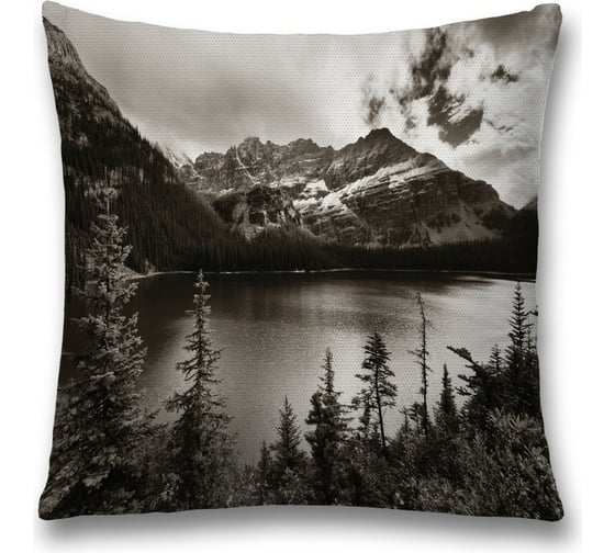 Изображение товара Декоративная наволочка JoyArty sl_22019