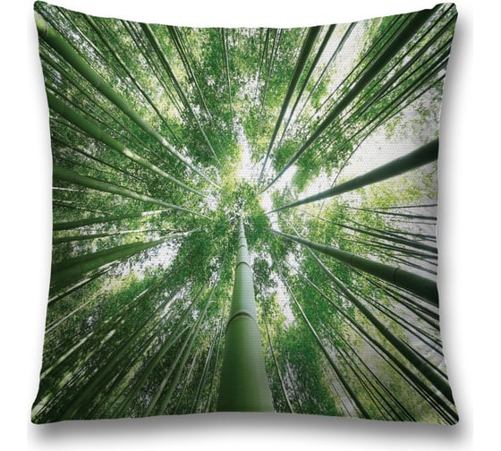 Изображение товара Декоративная наволочка JoyArty sl_13727