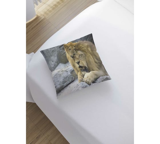 Изображение товара Декоративная наволочка JoyArty sl_12717