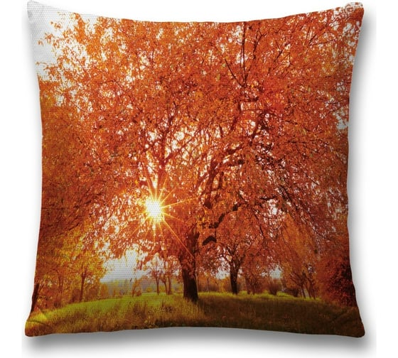 Изображение товара Декоративная наволочка JoyArty sl_29151