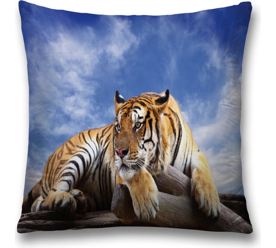 Изображение товара Декоративная наволочка JoyArty sl_12723