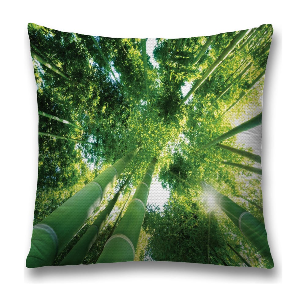 Изображение товара Декоративная наволочка JoyArty sl_15772