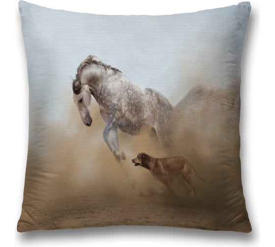 Изображение товара Декоративная наволочка JoyArty sl_16149