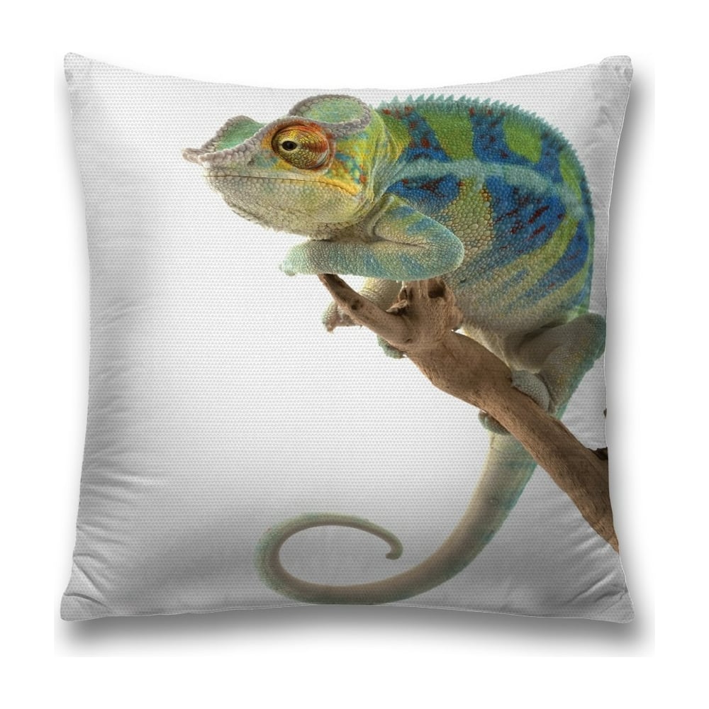 Изображение товара Декоративная наволочка JoyArty sl_13370 с молнией, 45х45 см