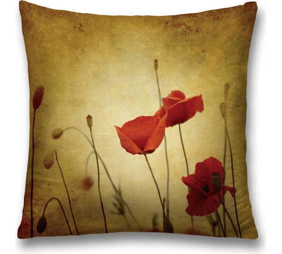 Изображение товара Декоративная наволочка JoyArty sl_16554