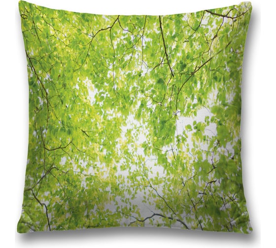 Изображение товара Декоративная наволочка JoyArty sl_16583