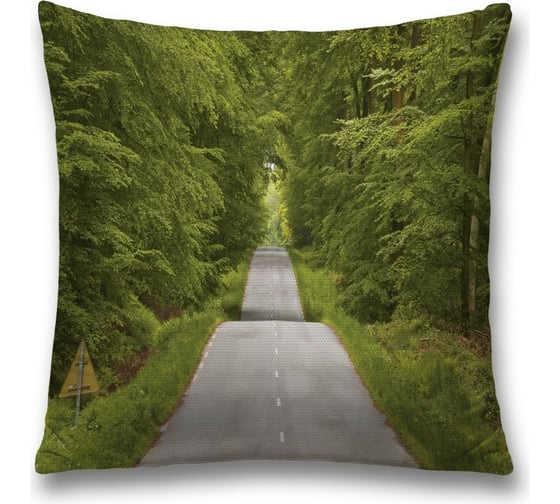 Изображение товара Декоративная наволочка JoyArty sl_12593