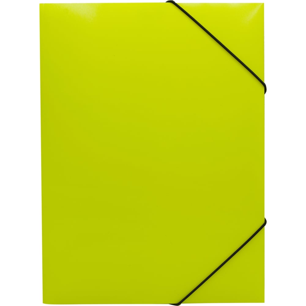 Папка Бюрократ Double Neon 1481566