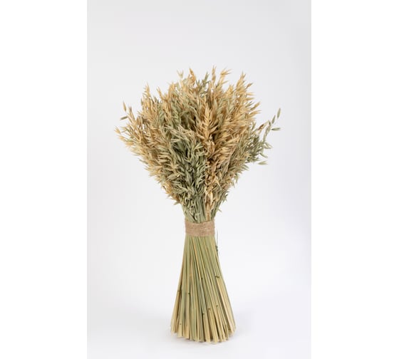 Изображение товара Коробка 6 букетов Стильный Дом букет из овса, h 450 мм 65111