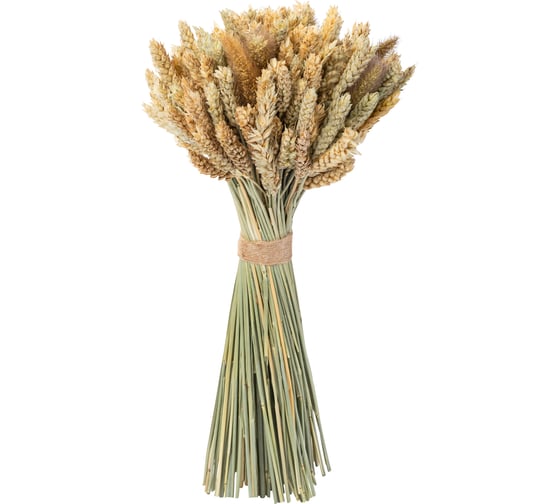 Изображение товара Коробка 6 букетов Стильный Дом из сухих колосовых культур пшеница,чумиза h480 40873