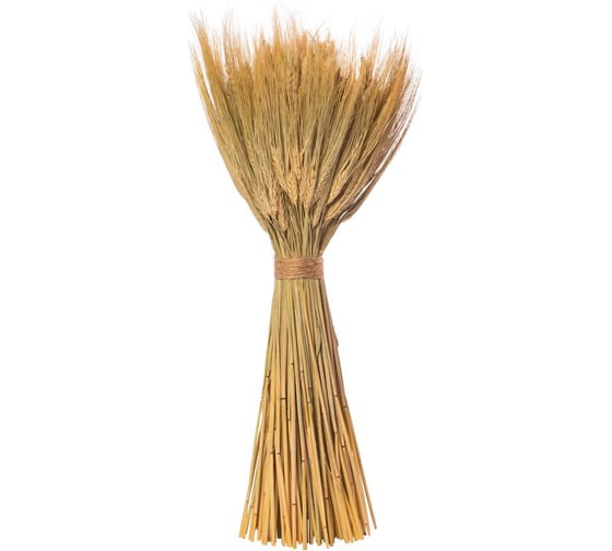 Изображение товара Коробка 6 букетов Стильный Дом из сухих колосовых культур рожь, пшеница, ячмень h 36 см 28666
