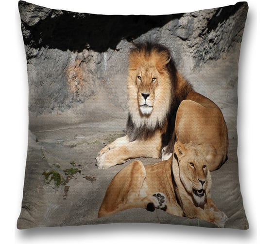 Изображение товара Декоративная наволочка JoyArty sl_37580