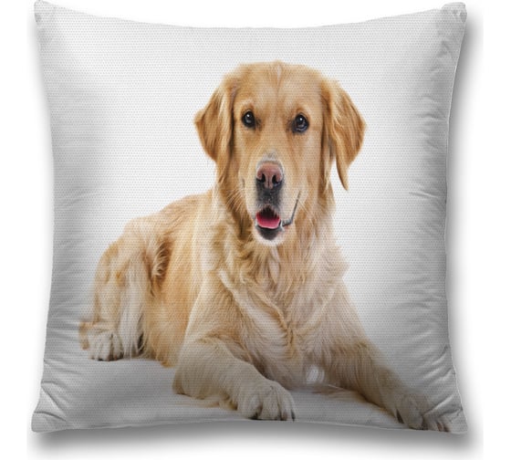 Изображение товара Декоративная наволочка JoyArty sl_59184