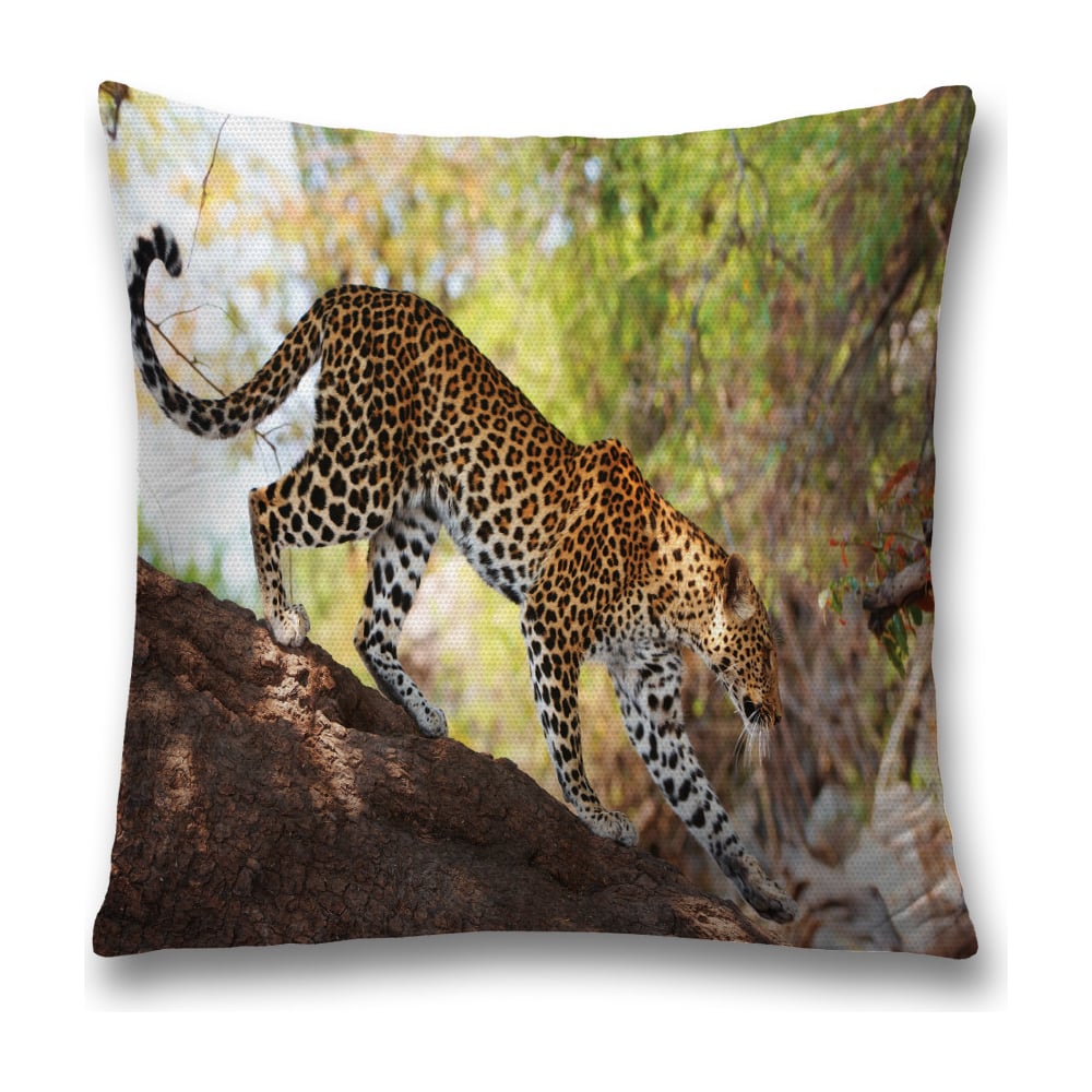 Изображение товара Декоративная наволочка JoyArty sl_37582 для интерьера