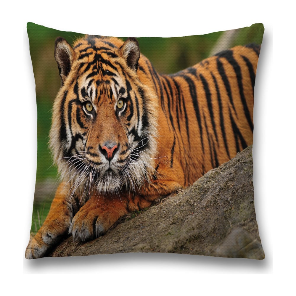 Изображение товара Декоративная наволочка JoyArty 45х45 см зеленая коричневая черная полиэстер