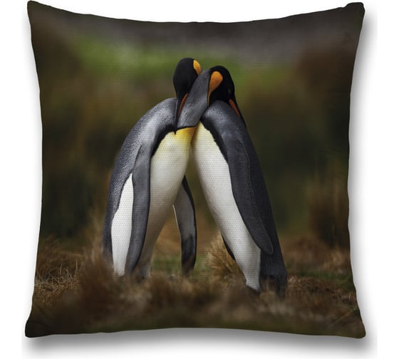 Изображение товара Декоративная наволочка JoyArty sl_36528