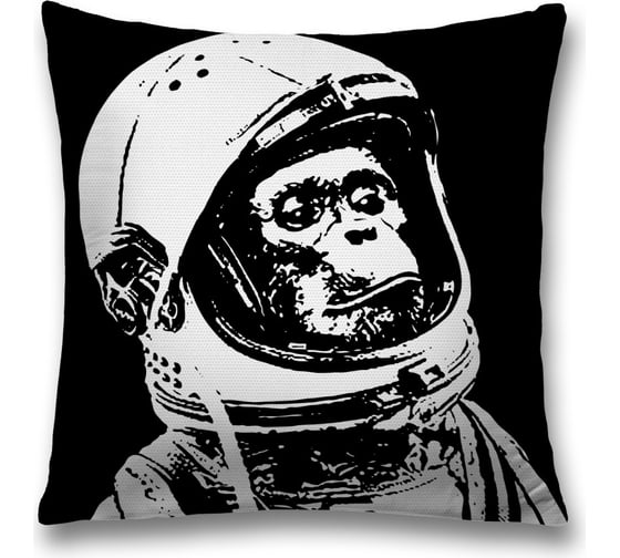 Изображение товара Декоративная наволочка JoyArty sl_19926